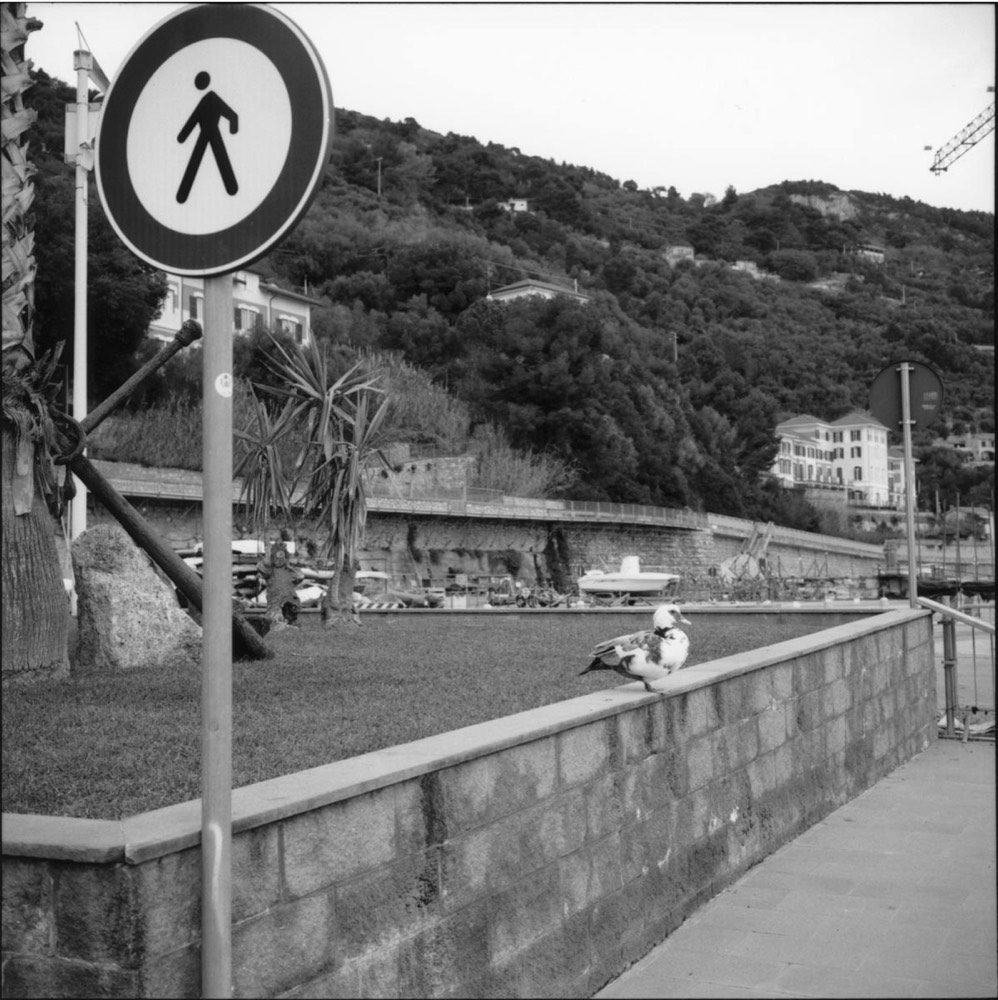 Davide Caselli introspezione 1